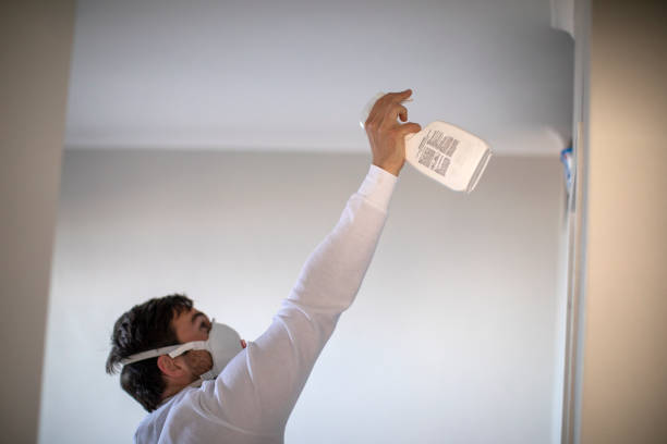 Best Mold Remediation Services  in Antelope, CA