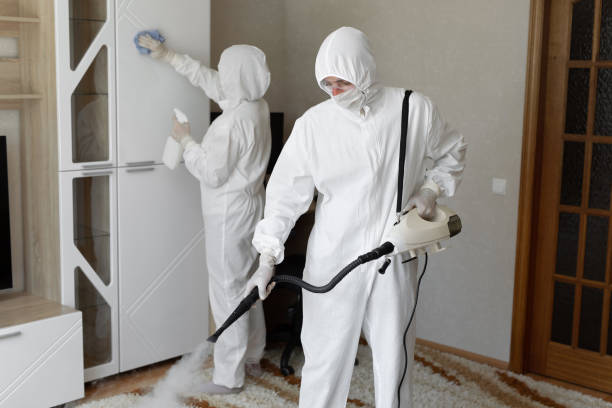 Professional Mold Removal in Antelope, CA