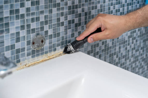 Best Local Mold Removal Service  in Antelope, CA