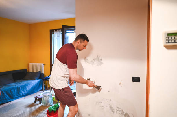 Best Mold Cleaning Services  in Antelope, CA